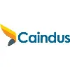 Caindus Systems Inc. Caindus Systems Inc.