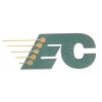 Electronics Consultants