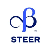 Steer