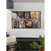 Snapdragon Flowers of Elm Grove