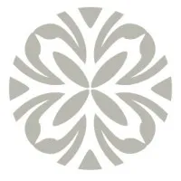 Charlotte Plastic Surgery