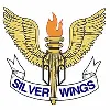 Silver Wings
