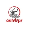 Antelope Wholesale Merchants Ltd. Antelope Wholesale Merchants Ltd.