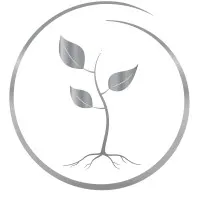 Diversion Strategies Diversion Strategies