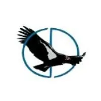 Condor Data Services