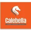 Calebella Integritas Project Limited Calebella Integritas Project Limited