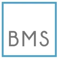 Bull Market Securities