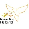 Brighter View Foundation Brighter View Foundation