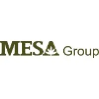 MESA Group email format