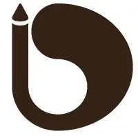 Desillus Solutions Inc.