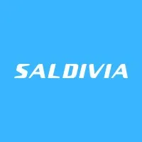 Saldivia Buses