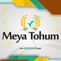 MEYA TOHUM