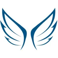 Hands-Off CEO