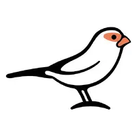 Waxbill Technologies