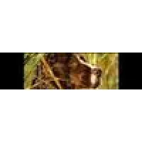 Old Time Farm Supply Inc