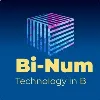 BiNum Systems BiNum Systems