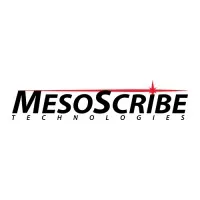 CVD MesoScribe Technologies Corporation