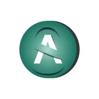 Alok K. Saksena & Partners Accounting & Auditing