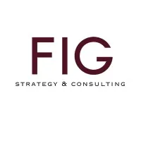 FIG Strategy & Consulting FIG Strategy & Consulting