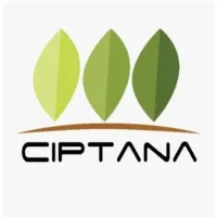 PT Cipta Wijaya Mandiri