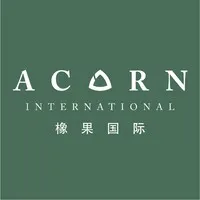 ACORN INTERNATIONAL