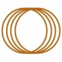 FI Consulting