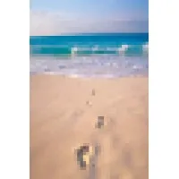 Tranquil Moments Therapeutic Massage Tranquil Moments Therapeutic Massage