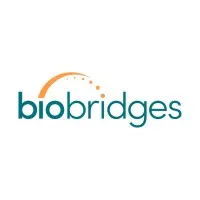 BioBridges