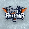 Flint Firebirds Flint Firebirds