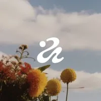 Isle of Any