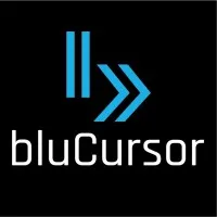 bluCursor Infotech Pvt Ltd
