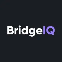 BridgeIQ