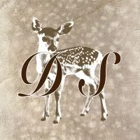 Dear Stranger Dear Stranger