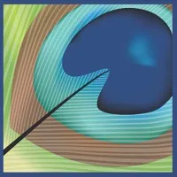 Arcadia Performing Arts Foundation