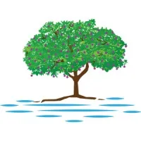 Famous Financial and Insurance Solutions