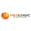 Meslogic IT Solutions Meslogic IT Solutions