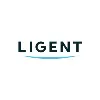LigentComm Co.Ltd. LigentComm Co.Ltd.