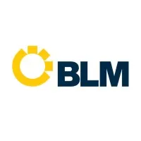 BLM Engineering Ltd