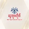 Silver Tiger Group of Companies