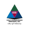 Cole Engineering Services, Inc. (CESI), a By Light Company