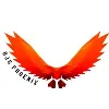 DJS Phoenix