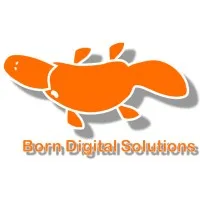 Born Digital Solutions