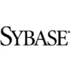 Sybase Software Sybase Software
