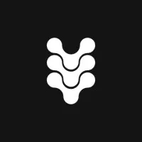 The Spinal Studio The Spinal Studio