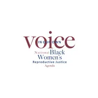 In Our Own Voice: National Black Women's Reproductive Justice Agenda
