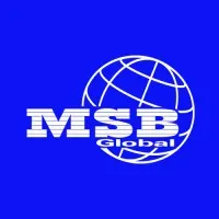 MSB Global Services