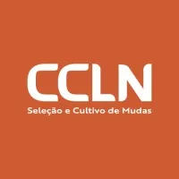 Grupo CCLN