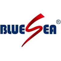 Bluesea Group