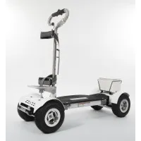 GolfBoard