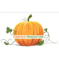 Pumpkin Production